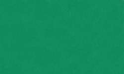 FOLIA® farbiges Transparentpapier, 70 x 100 cm, 25 Bogen, 70 cm x 100 cm, Packung mit 25 Bogen, Dunkelgrün