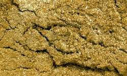 Clear Gold (Colortricx), 20 g