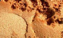 Reichgold (Colortricx), 16 g