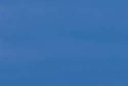 Talens Art Creation Acrylfarbe, 750 ml, Graublau