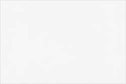 PAPERTREE Lokta Papier, ca. 50 cm x 70 cm, Natural