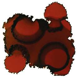 JACQUARD Pinata Color Alkoholtinte, 15 ml, BURRO BROWN