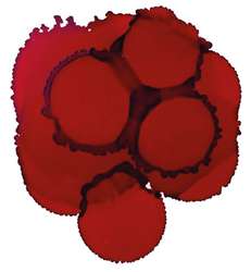 JACQUARD Pinata Color Alkoholtinte, 15 ml, CHILI PEPPER