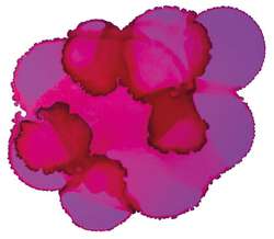 JACQUARD Pinata Color Alkoholtinte, 15 ml, SENORITA MAGENTA