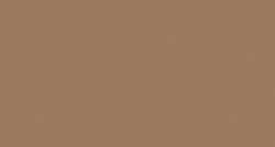 Capezio Tan