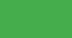 Angelus® NEON Acrylic Lederfarbe, einzeln, 29,5-ml, Amazon Green