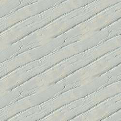 Neutral Grey Pale