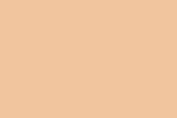 CANSON® Mi-Teintes® Velvet Pastellkarton, 50 cm x 65 cm, Goldbeige