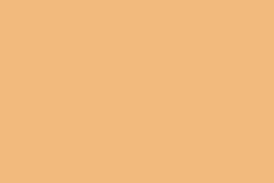 CANSON® Mi-Teintes® Velvet Pastellkarton, 50 cm x 65 cm, Indischgelb