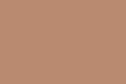 CANSON® Mi-Teintes® Velvet Pastellkarton, 50 cm x 65 cm, Kastanienbraun