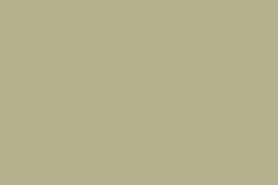 CANSON® Mi-Teintes® Velvet Pastellkarton, 50 cm x 65 cm, Pistaziengrün