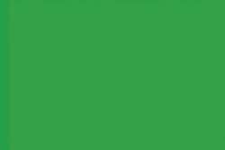 HOLBEIN IRODORI Künstler Gouache, 15 ml, Wakanae / Seedling