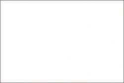 HOLBEIN IRODORI Künstler Gouache, 15 ml, Gofun / White