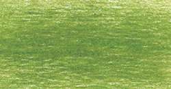 DERWENT Drawing Zeichenstift, Zeichenstift, Moss Green (5100)