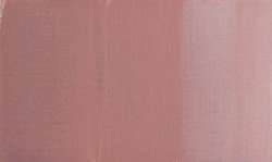 Minnow-Rosa