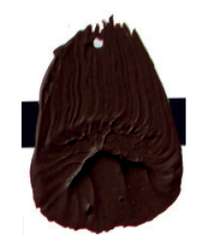 Tri-Art™ LOW VISCOSITY Acrylfarbe, 120-ml-Flasche, Burnt Umber