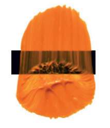 Tri-Art™ LOW VISCOSITY Acrylfarbe, 120-ml-Flasche, India Yellow