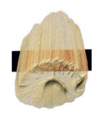 Tri-Art™ LOW VISCOSITY Acrylfarbe, 120-ml-Flasche, Interference Orange