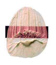 Tri-Art™ LOW VISCOSITY Acrylfarbe, 120-ml-Flasche, Interference Red