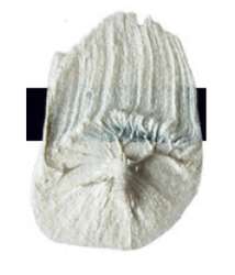 Tri-Art™ LOW VISCOSITY Acrylfarbe, 120-ml-Flasche, Iridescent Pearl