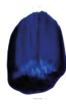 Ultramarine Blue Modern