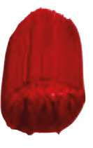 Alizarin Crimson (Hue)