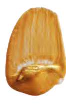 Iridescent Gold Deep