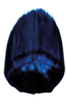 Phthalo Blue Green Shade