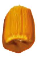 Transparent Yellow Oxide