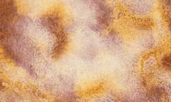 Metamorphoses Morning Brume