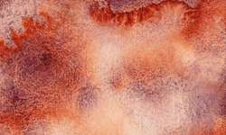 Metamorphoses Evening Brume