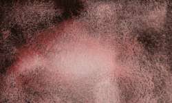 Metamorphoses Mystery of Red