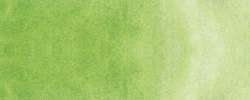 Kuretake Gansai Aquarellfarben Japanische Wasserfarbe, großes Näpfchen, Perl Maigrün MC21-751