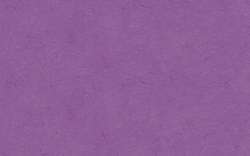 URSUS® Transparentpapier Rolle, 42 g/qm, 70 cm × 100 cm, Lavendel