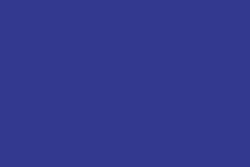 Pentel® Sign Pen Faserschreiber, Blau