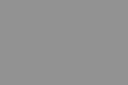 Pentel® Sign Pen Faserschreiber, Grau