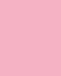 FOLIA® Fotokarton, 300g/qm, 50 x 70 cm, Rosa