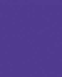 FOLIA® Fotokarton, 300g/qm, 50 x 70 cm, Dunkelviolett