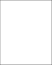 FOLIA® Fotokarton, 300g/qm, 50 x 70 cm, Weiß