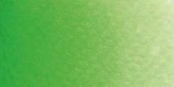 ROSA Gallery Professional Aquarellfarben, 2,5 ml, Leuchtgrün (739)