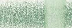 DERWENT Chromaqua Aquarellstift, Cactus 1530