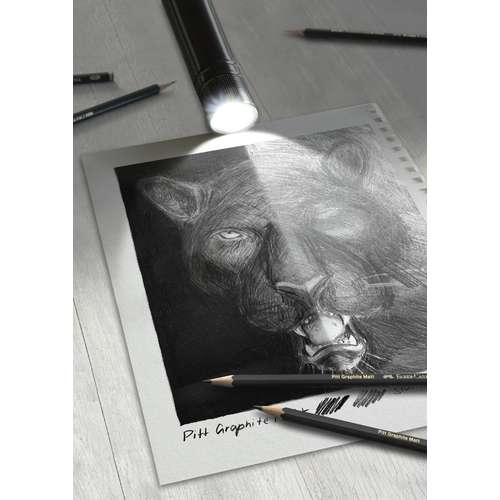 morepic-5