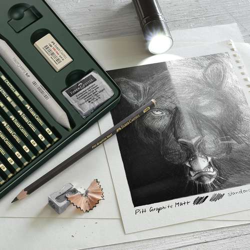morepic-6