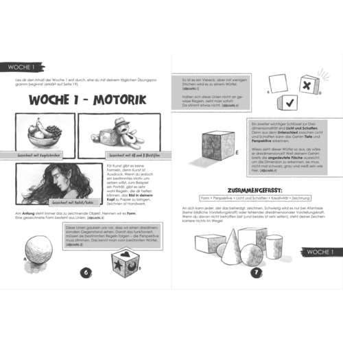 morepic-2