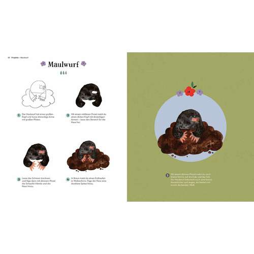 morepic-5