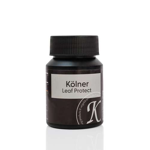 Kölner Leaf Protect Überzugslack Schlagmetall 